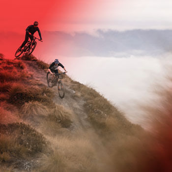 UP TO 25% OFF SPECIALIZED. ERIK'S Deal of the Week.