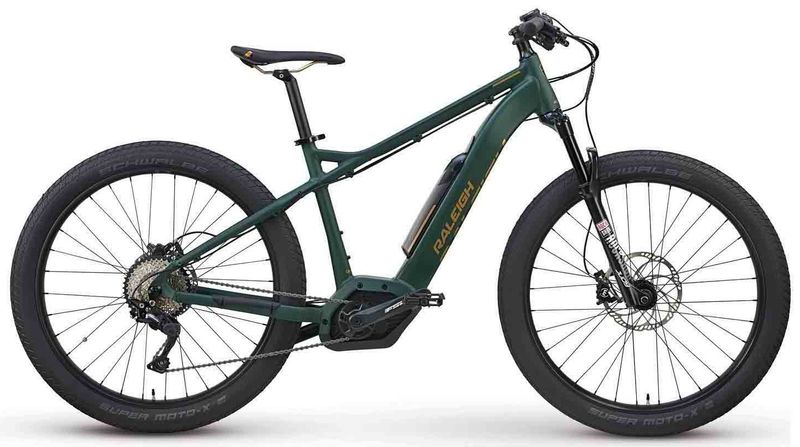 raleigh electric mountain bike