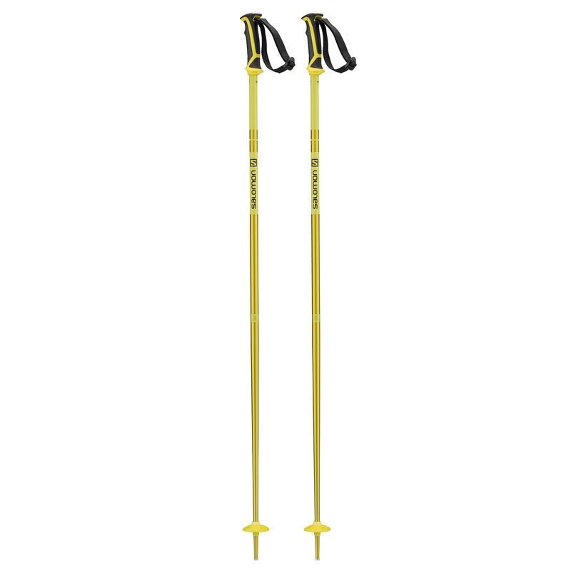 salomon arctic ski pole