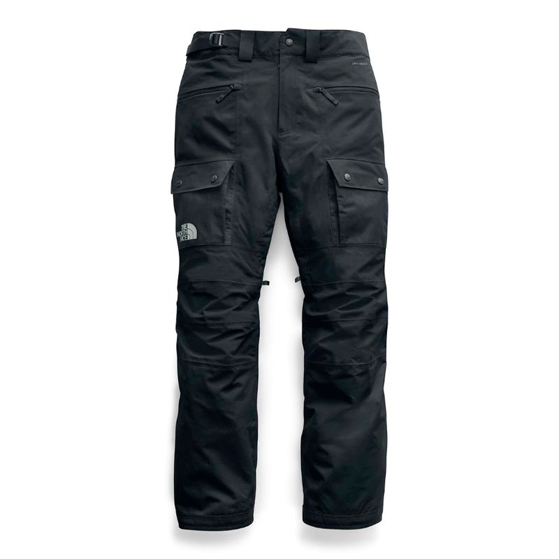 north face slashback cargo pants