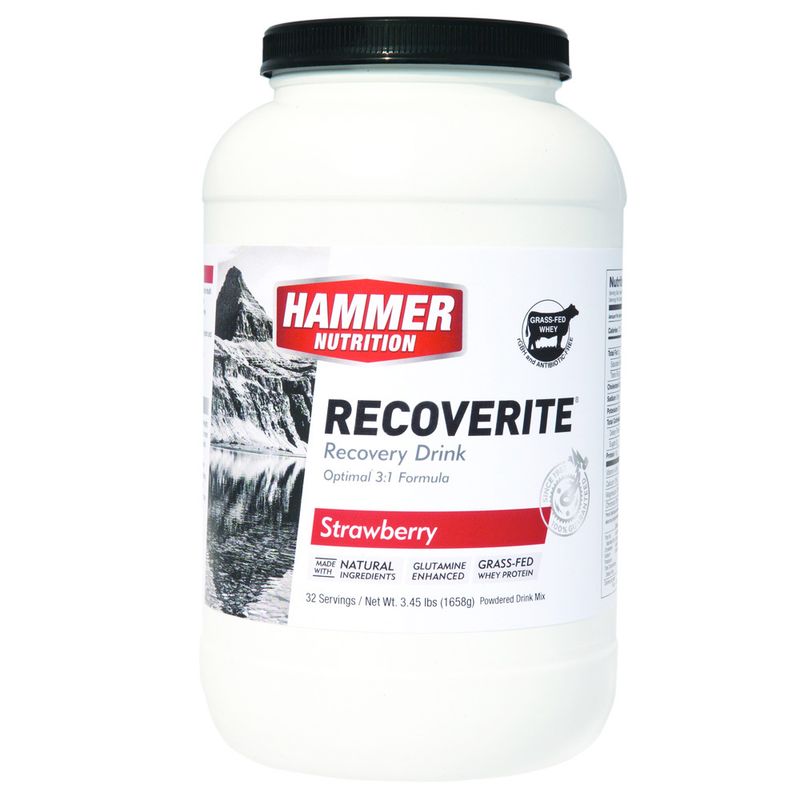 Hammer Nutrition RECOVERITE 32 SERVING DRINK MIX ERIK'S