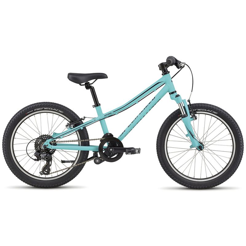 specialized bmx 20 inch