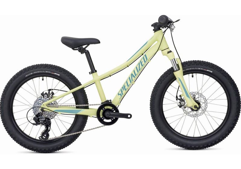 kids 20 inch mountain bikes