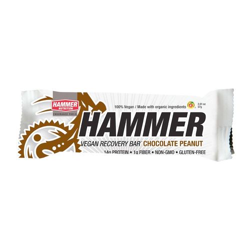 Hammer Nutrition Vegan Protein Bar