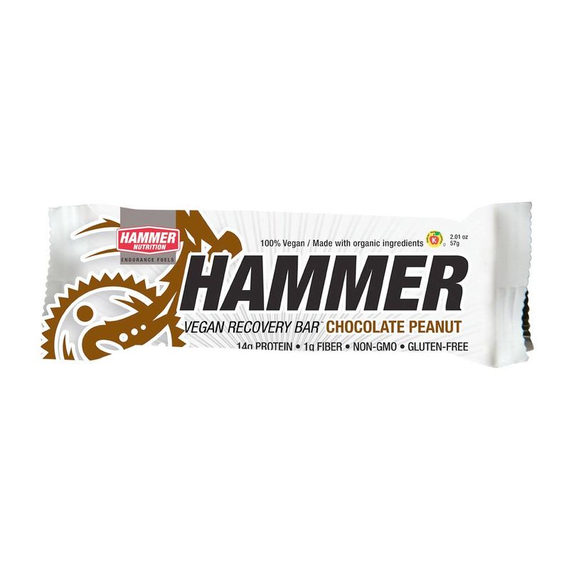 Hammer Nutrition VEGAN PROTEIN BAR Energy Bars ERIK'S