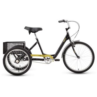 izip electric trike