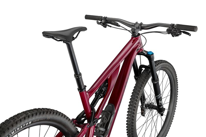 Specialized stumpjumper best sale evo alloy 29