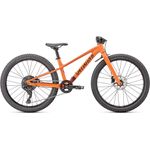 Specialized riprock for clearance sale