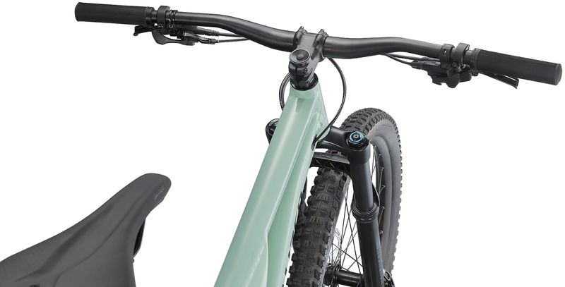 2021 specialized stumpjumper alloy 29