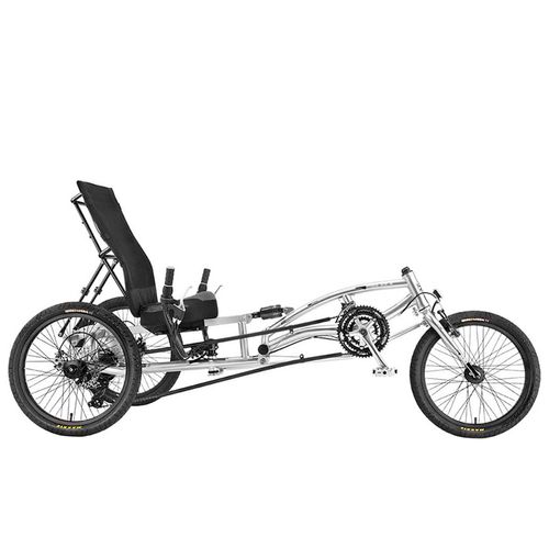 Tadpole trike for discount sale