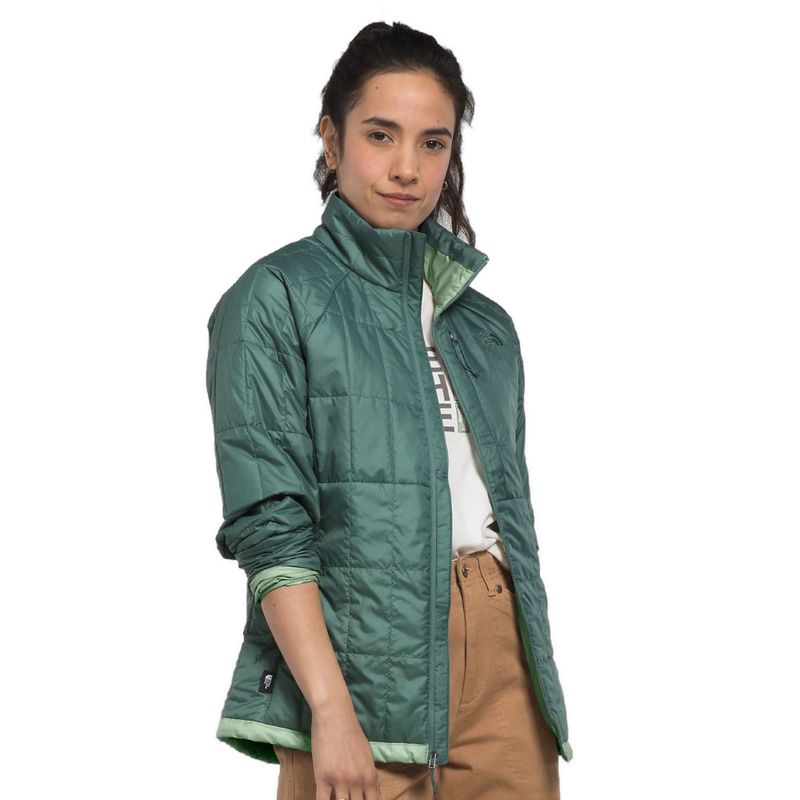 Buy Women's The North Face Jackets Online